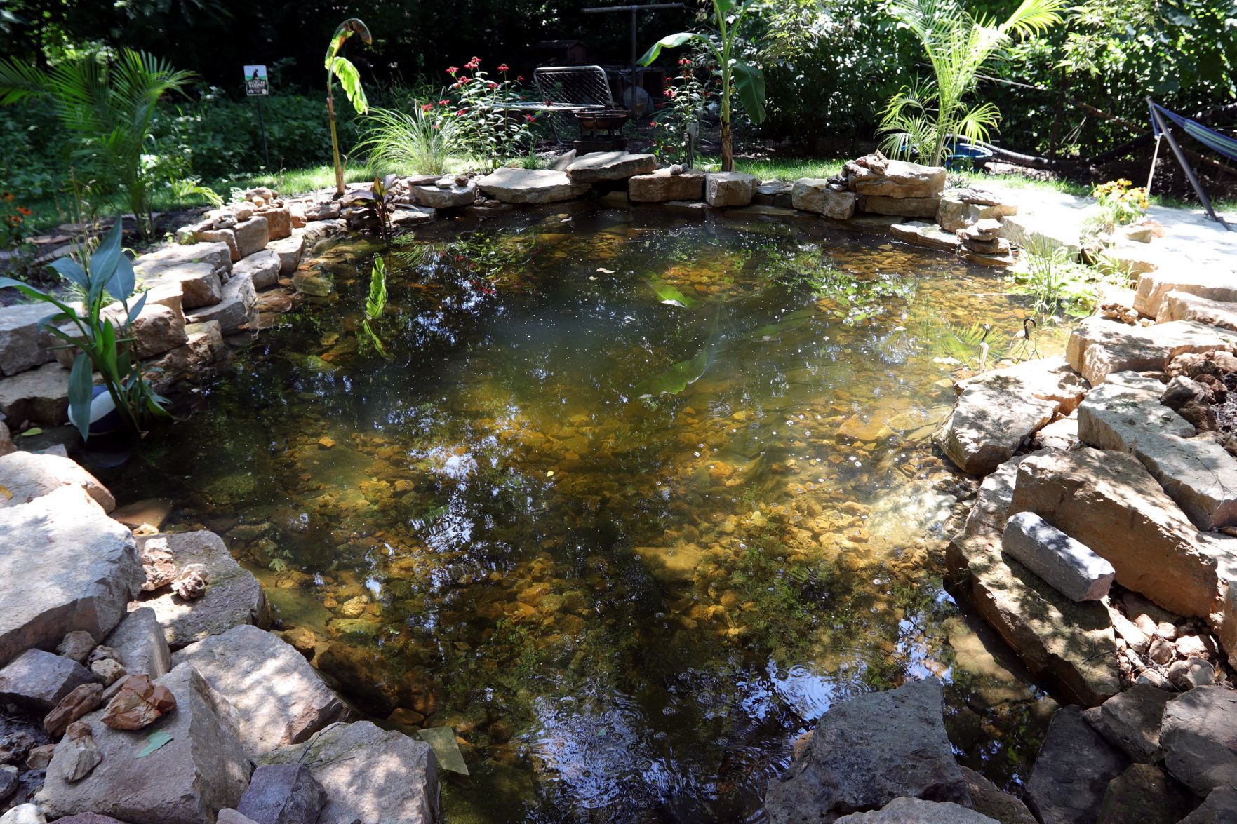 At Home in Webster Groves garden
